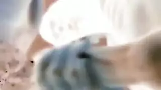 سكس زنجيات بطير كبير