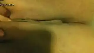 ربط الحذاء الدهون ناضجة حمار