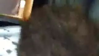 سمراء ممتلئة الجسم تأخذ قضيبين أسودين كبيرين في علاقة جنسية ثلاثية صعبة