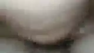 نيك عربي جزائري جنس صغار